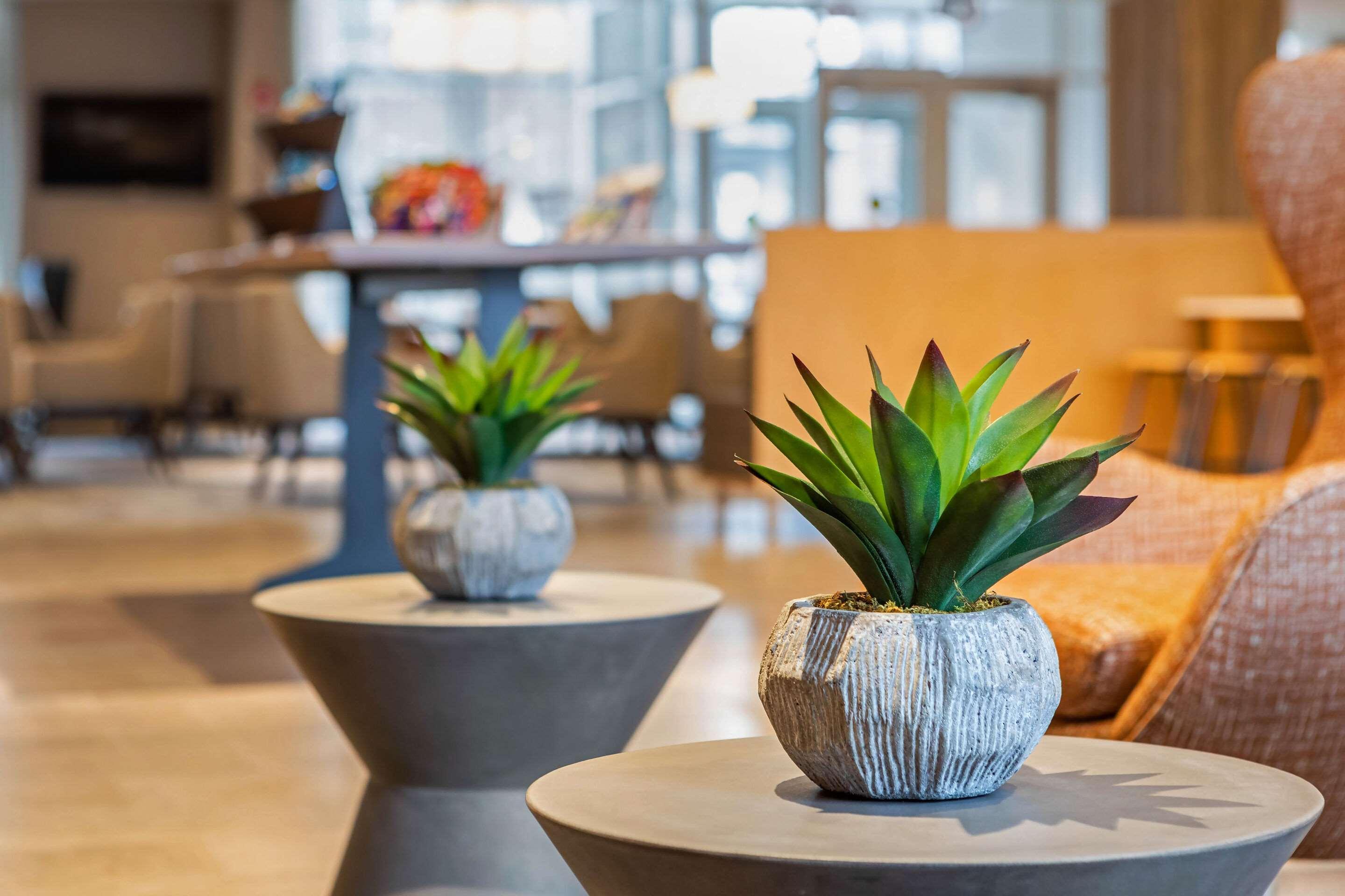 Cambria Hotel Orlando Airport Экстерьер фото